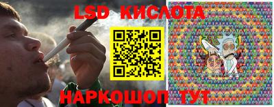 гидра Будённовск