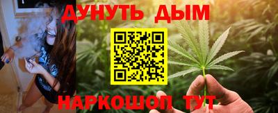 гидра Будённовск