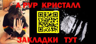 гидра Будённовск