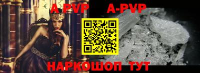 гидра Будённовск