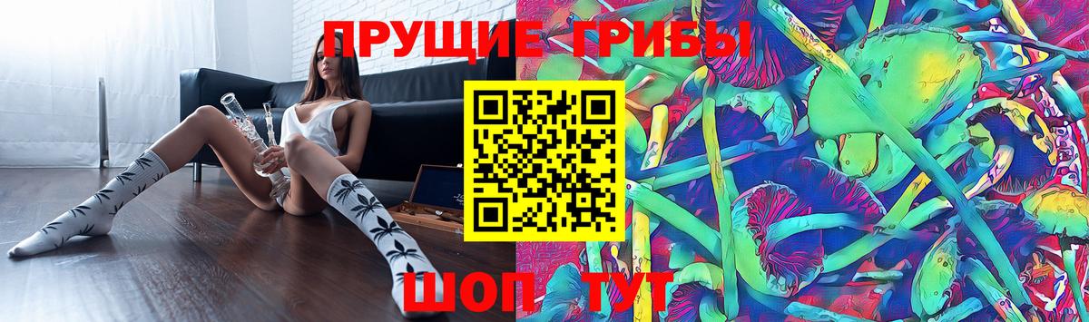 Муром  Галлюциногенные грибы ЛСД  Галлюциногенные грибы Psilocybe  Вход с VPN 